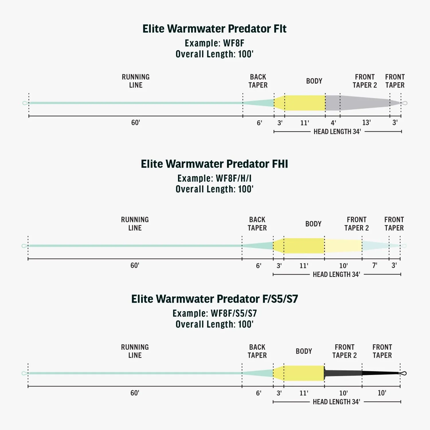 Elite Warmwater Predator (Floating/Intermediate/Sink3)