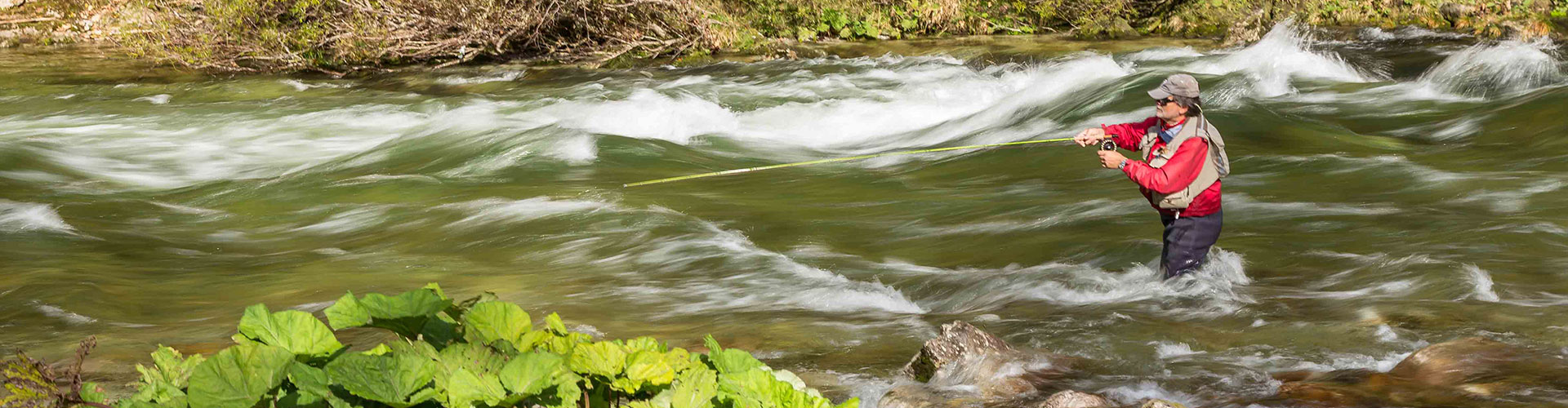 Fliegenfischen Kurs Bayern Rudi Heger Fliegenfischen Kurs Bayern Rudi Heger
