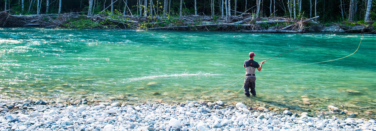 Zweihand Fliegenrute - Lachs, Steelhead