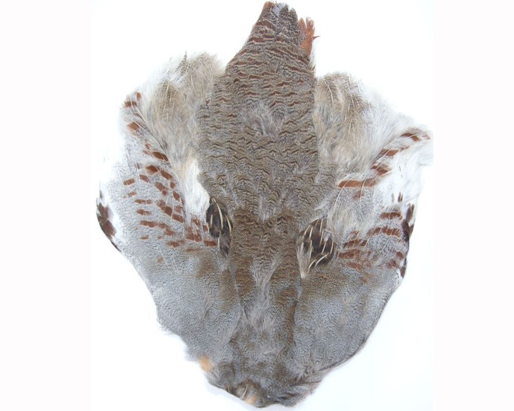 Partridge Skins