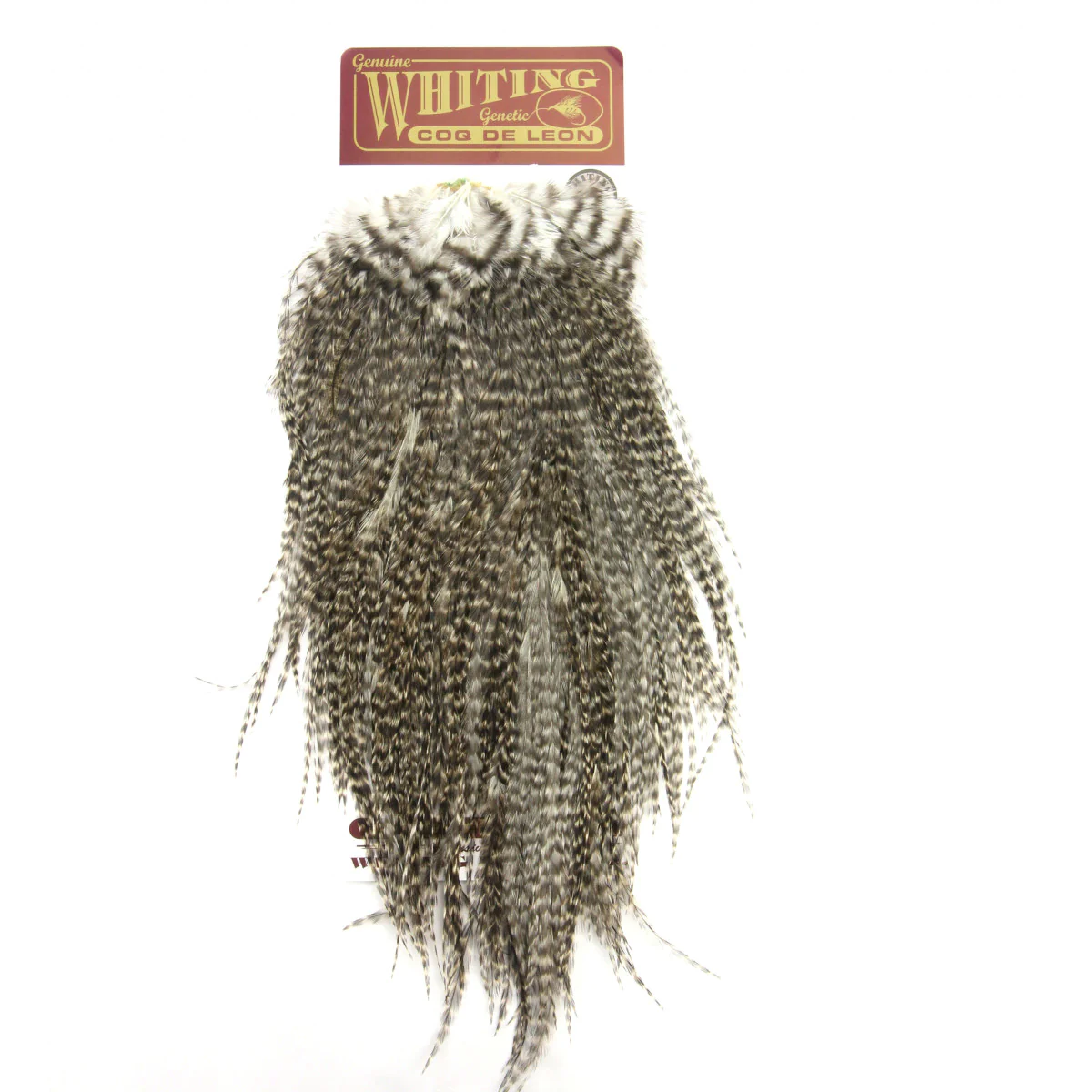 Coq de Leon Saddle (Quality silver) Coq de Leon Saddle (Quality silver)