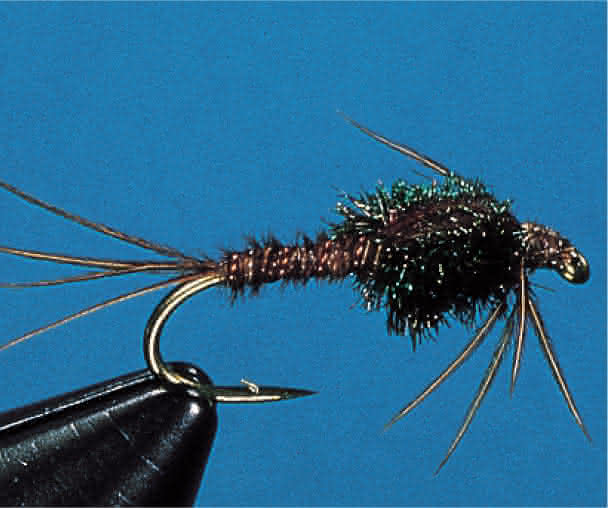 Pheasant Tail Nymphe