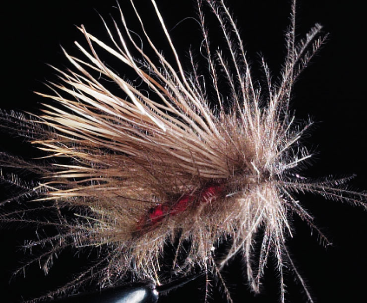 CDC Buck Caddis (rot)