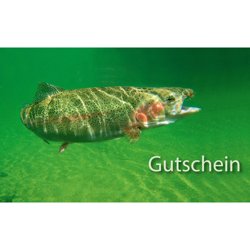 Geschenk-Gutschein Geschenk-Gutschein