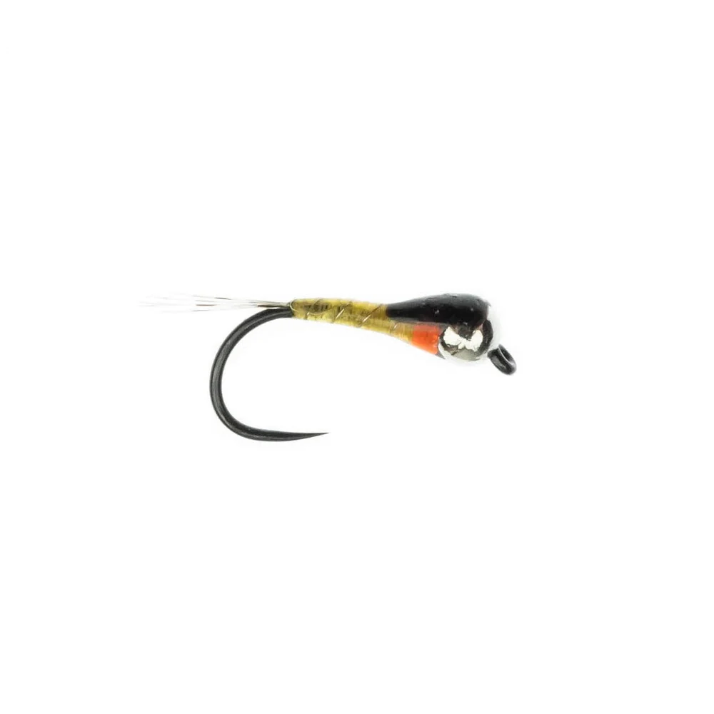 Spanish Perdigon (yellow) Spanish Perdigon (yellow)