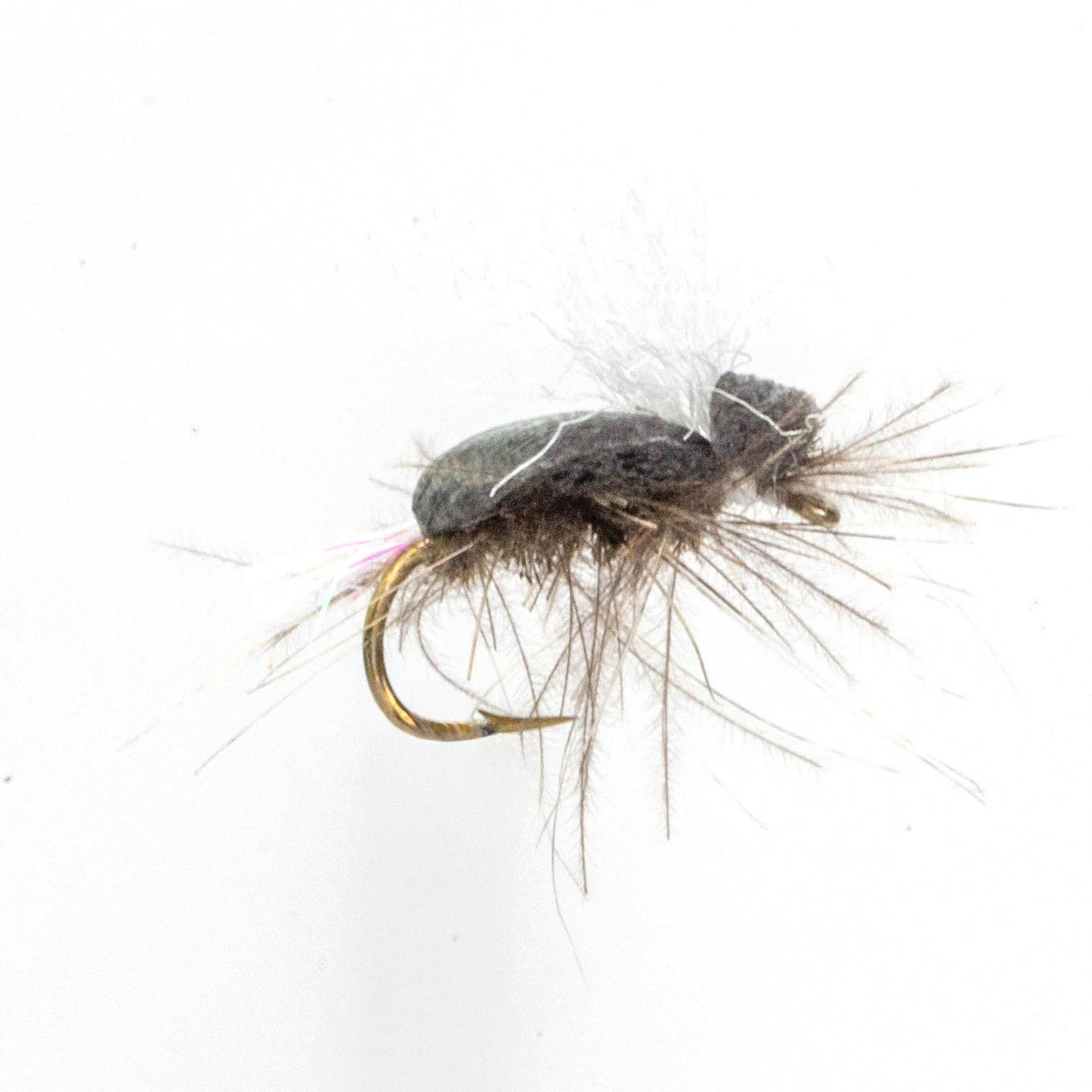 CDC Poly Beetle  CDC Poly Beetle