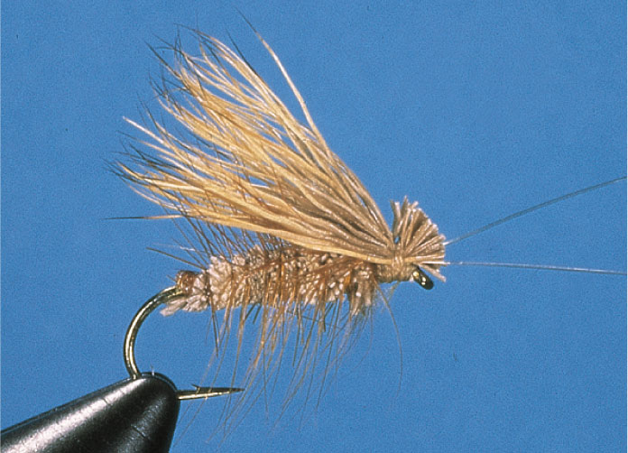 Irresistible Elk Caddis (tan)