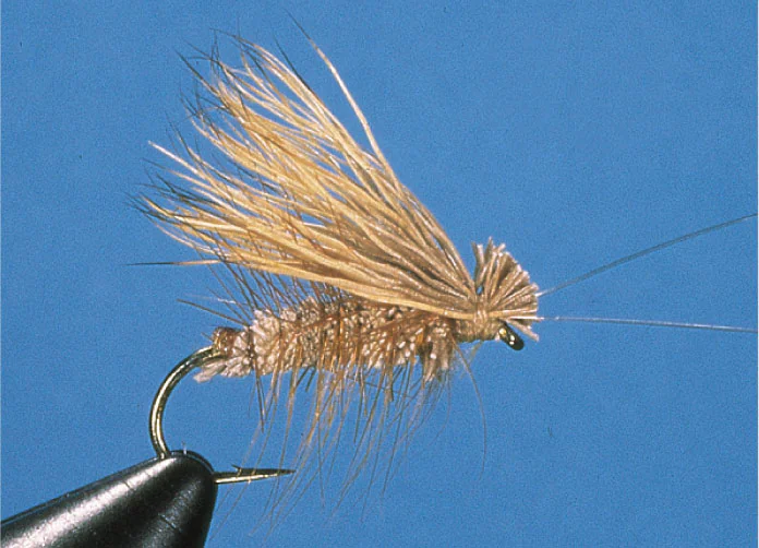 Irresistible Elk Caddis (tan) Irresistible Elk Caddis (tan)
