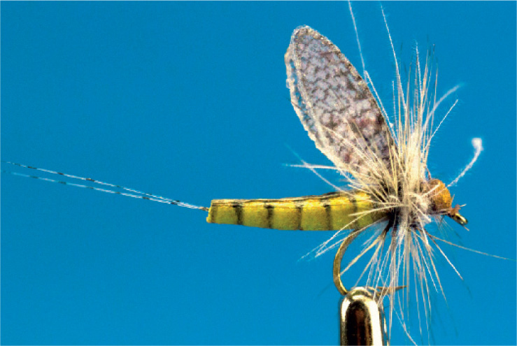 Grizzly Spinner Tails