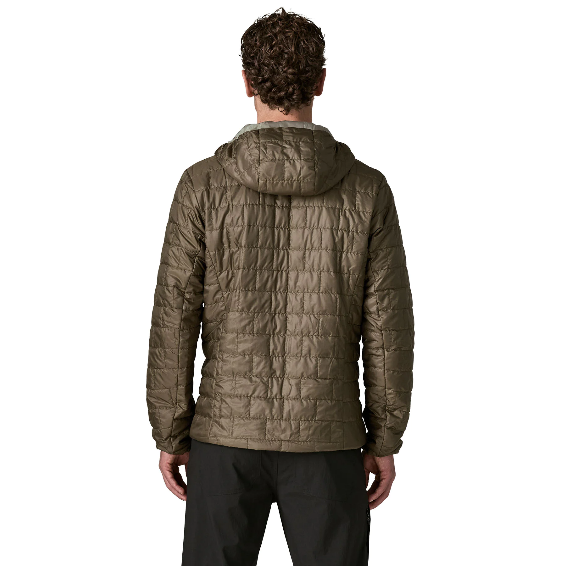 Nano Puff Fitz Roy Trout Hoody (basin green)
