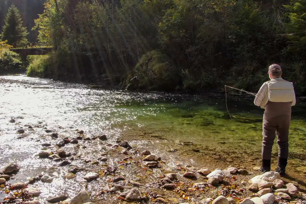 Fliegenfischen Weisse Traun "Zauberwald", Ruhpolding -Bayern, Rudi Heger Fliegenfischen Weisse Traun "Zauberwald", Ruhpolding -Bayern, Rudi Heger