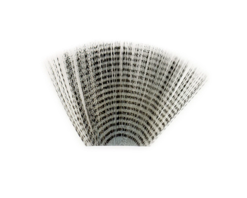 Grizzly Spinner Tails Grizzly Spinner Tails