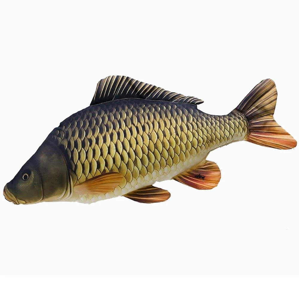 Textile Fish Common Carp (64 cm) Textile Fish Common Carp (64 cm)