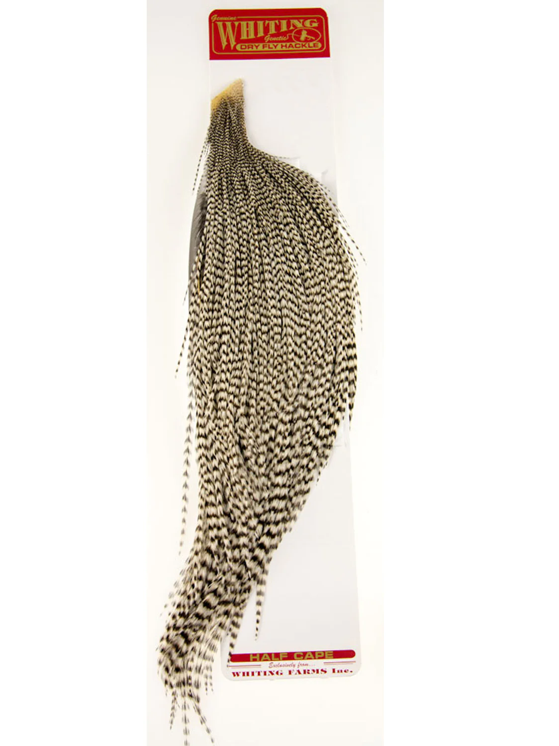1/2 Balg (Qualität bronce) 1/2 Balg (Qualität bronce)