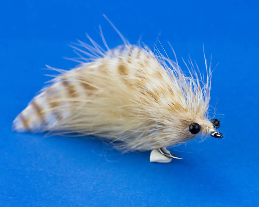 Laid-up Tarpon (tan) Laid-up Tarpon (tan)