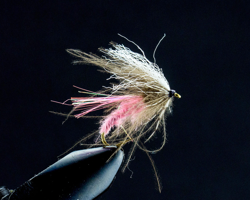 CDC Auskriecher (pink)