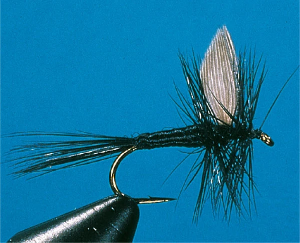 Black Gnat Black Gnat