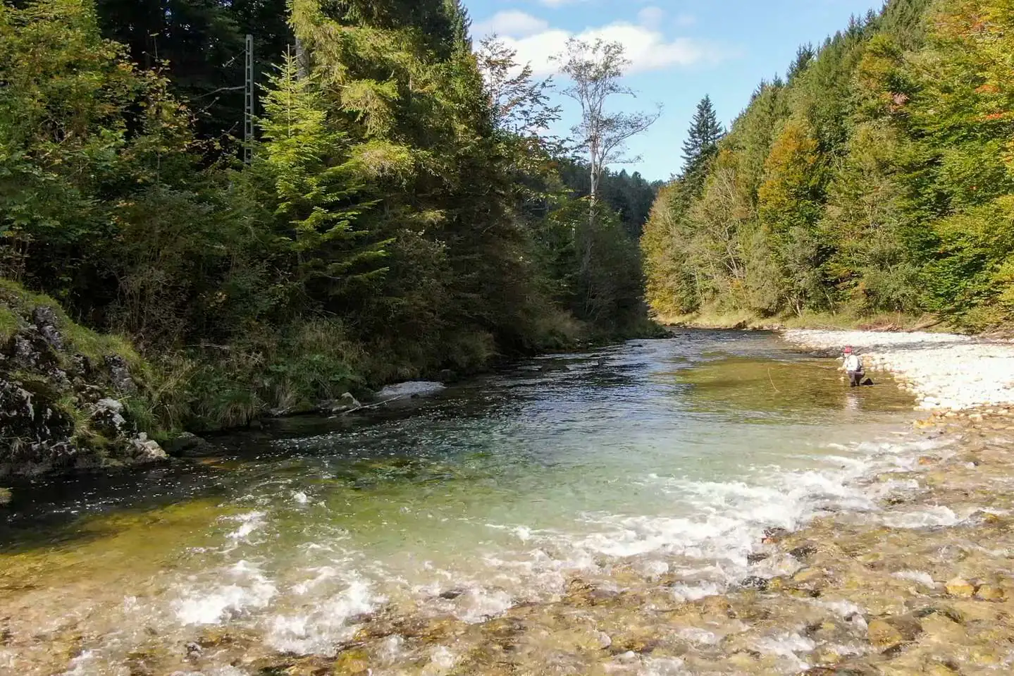 Fliegenfischen Weisse Traun "Zauberwald", Bayern, Rudi Heger Fliegenfischen Weisse Traun "Zauberwald", Bayern, Rudi Heger