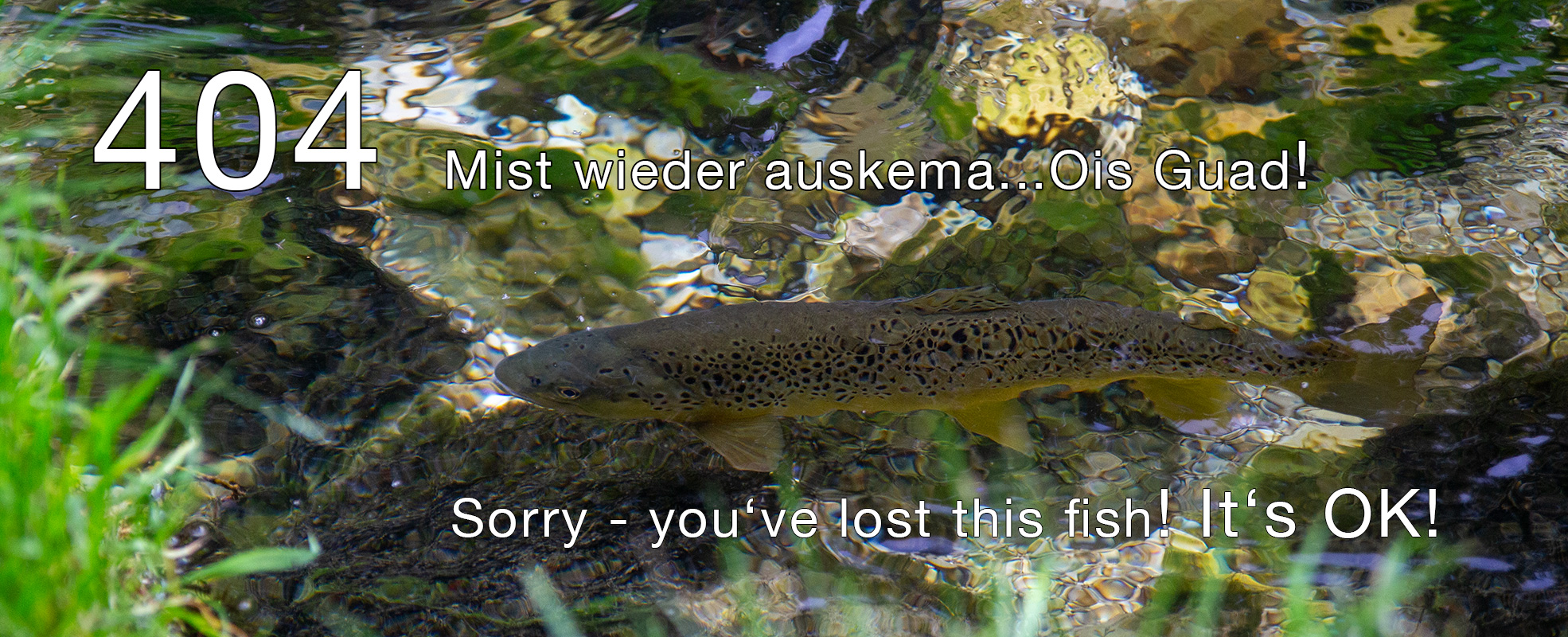 404 Fehlerseite Rudi Heger Fliegenfischen