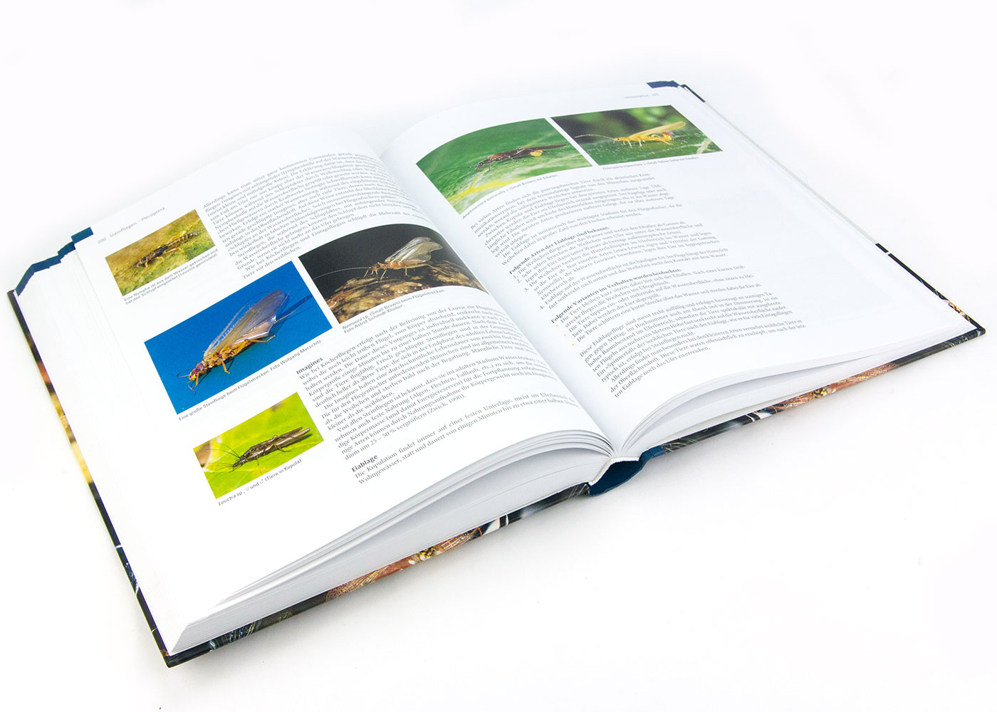 Entomologie für Fliegenfischer (4. Auflage)