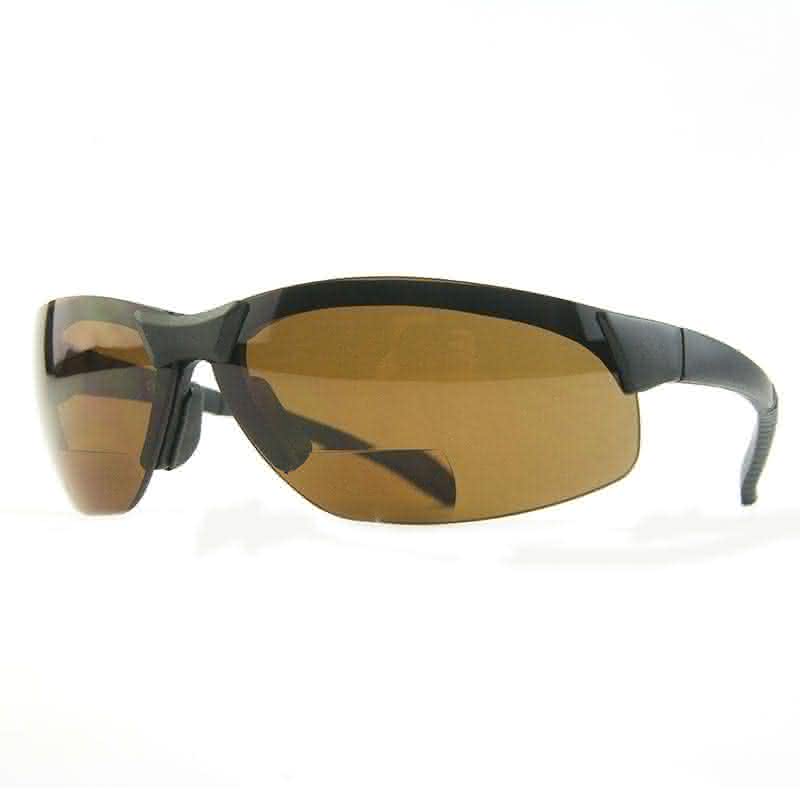 Interchange Bifocal Polarized Glasses (+2.5)