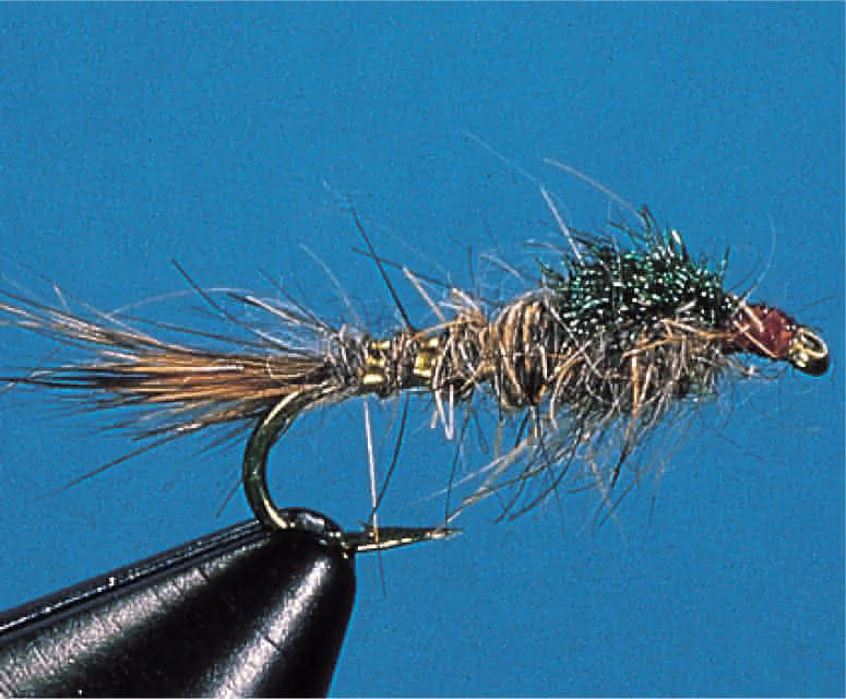 Hasenohr Nymphe Hasenohr Nymphe