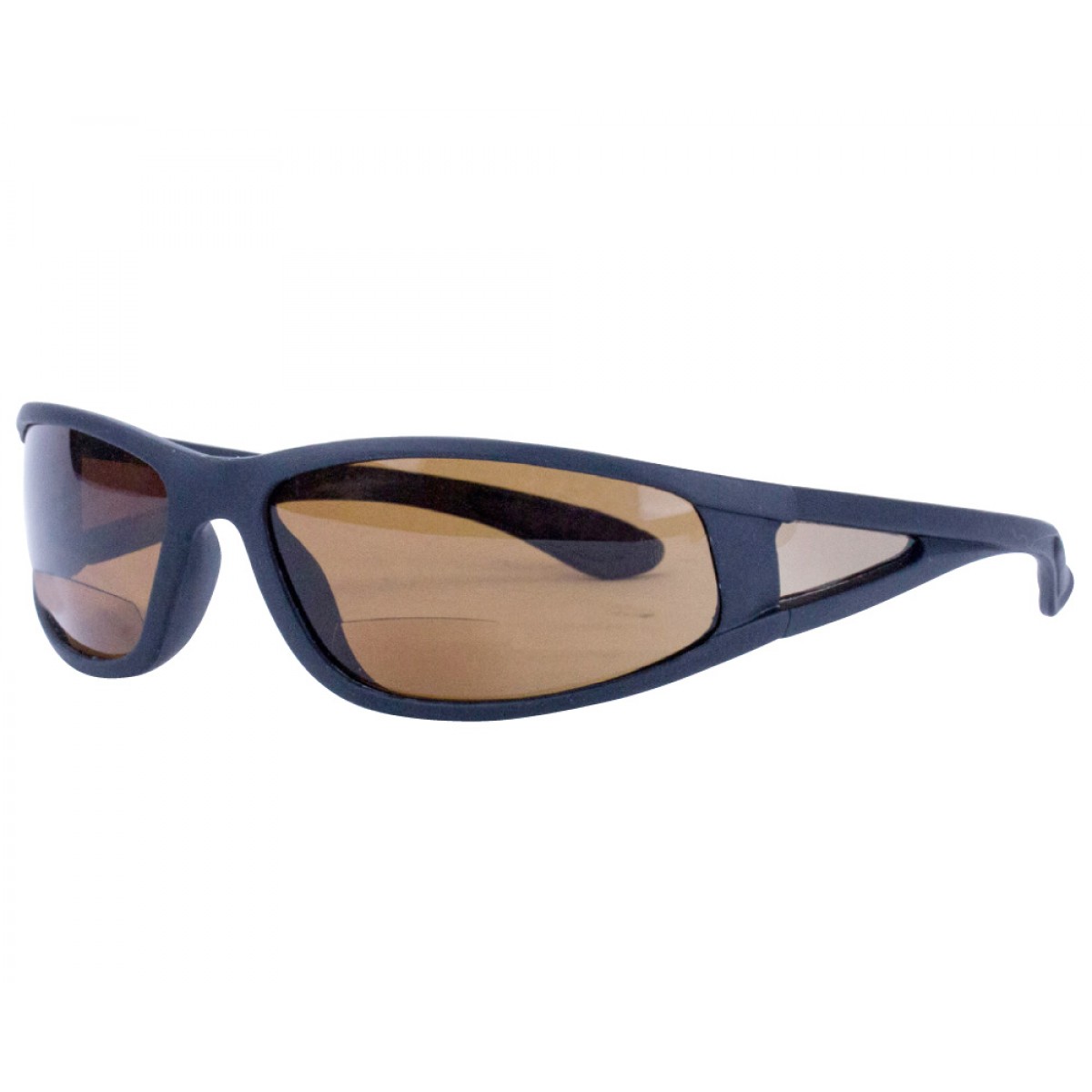 Polarisationsbrille bifocal (+2,5)