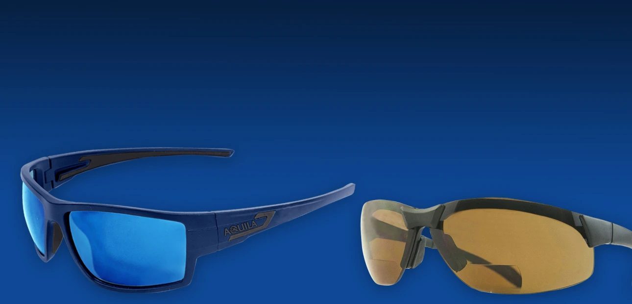 Polarized Glasses