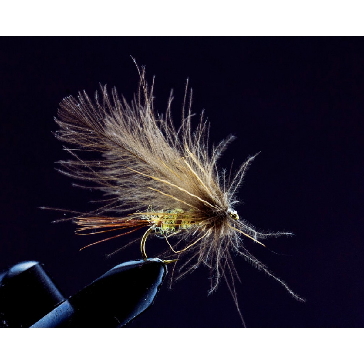 CDC Mayfly