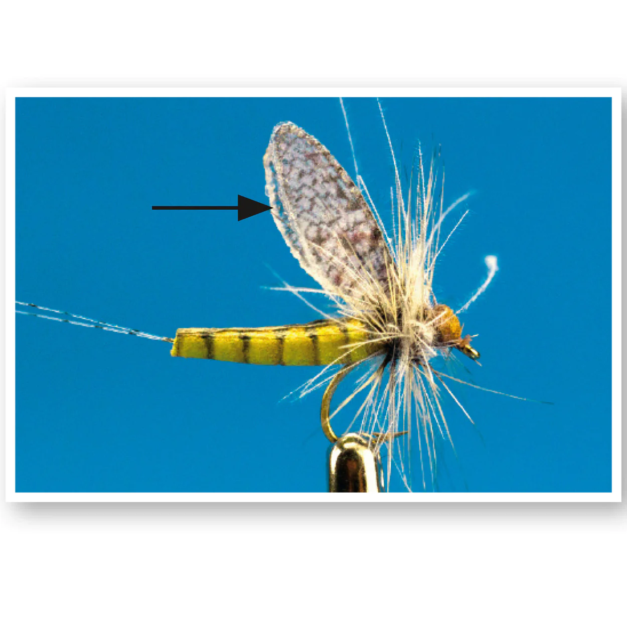 True Wings Mayfly (grey) True Wings Mayfly (grey)