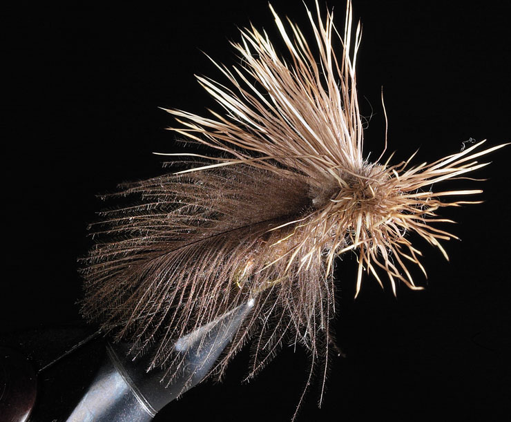 CDC Fluttering Caddis