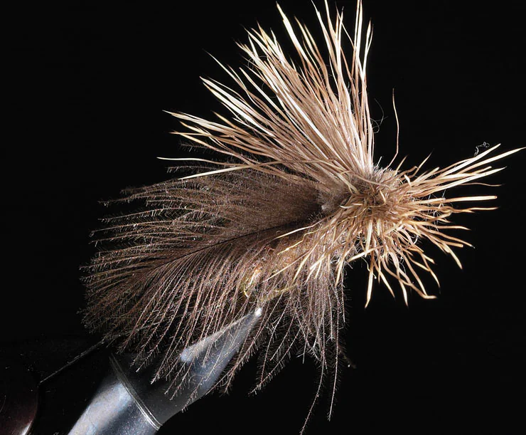 CDC Fluttering Caddis CDC Fluttering Caddis