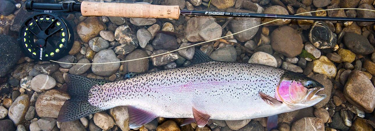 DT-Fliegenschnüre (Double Tapered)