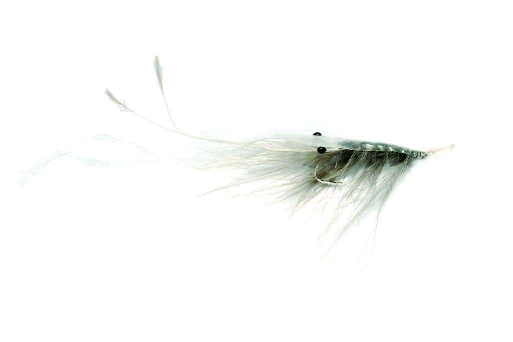 Oeland Shrimp (grey)