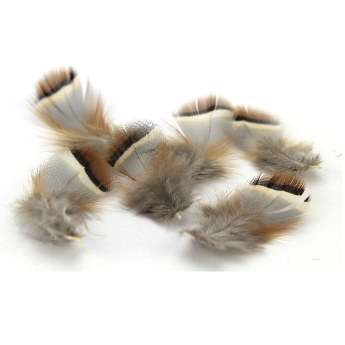 French Partridge Hackles