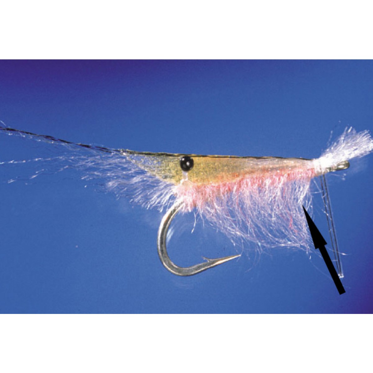 Shrimp Dub Brush Shrimp Dub Brush