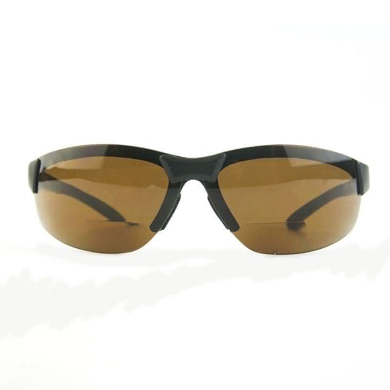 Interchange Bifocal Polarized Glasses (+2.5)