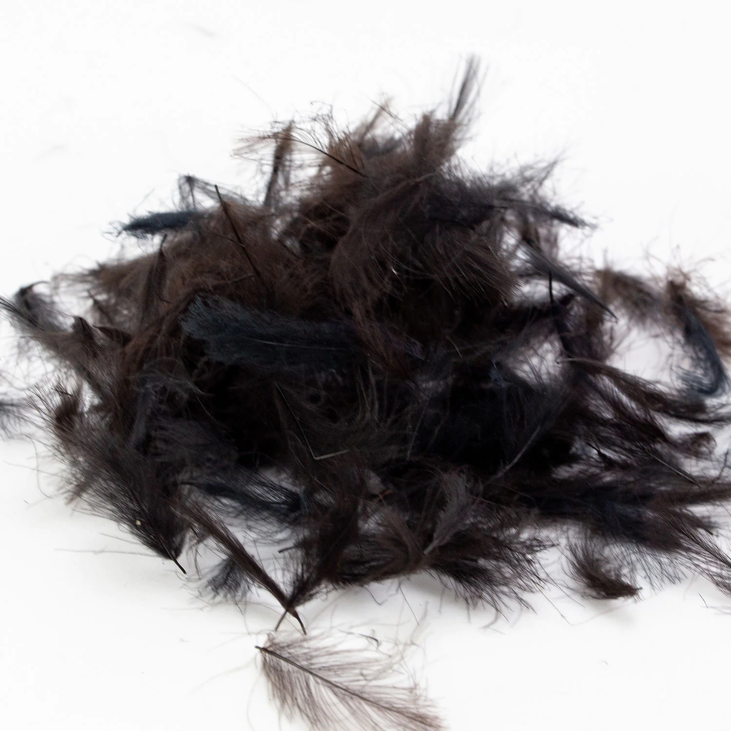 Entenbüzelfedern Standard Entenbüzelfedern Standard