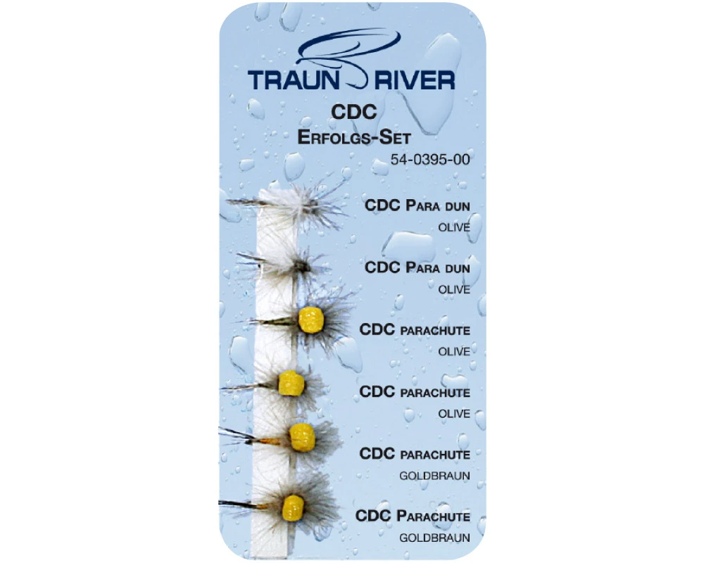 CDC Success Set CDC Success Set