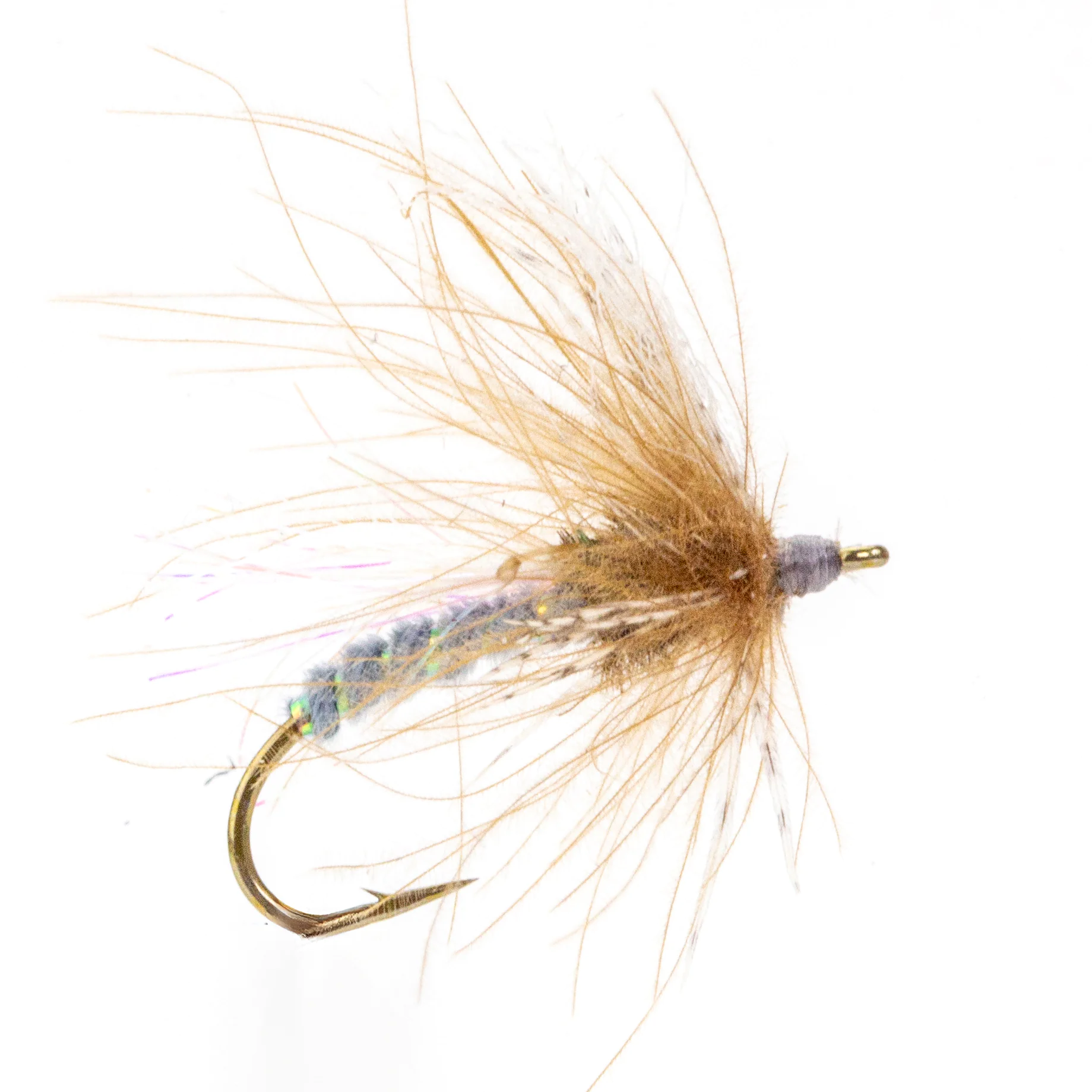 CDC Auskriecher 2.0, dark CDC Auskriecher 2.0, dark