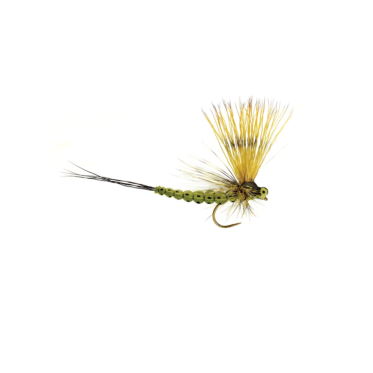 Mohican Mayfly (Olive)