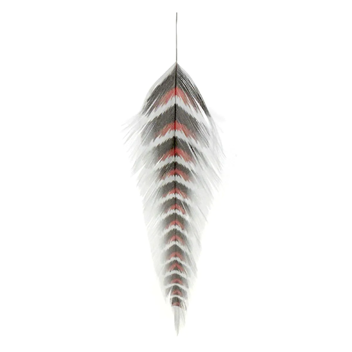 Feder, Dekoration, Grau-weiß, Rotes Muster, Naturmaterial