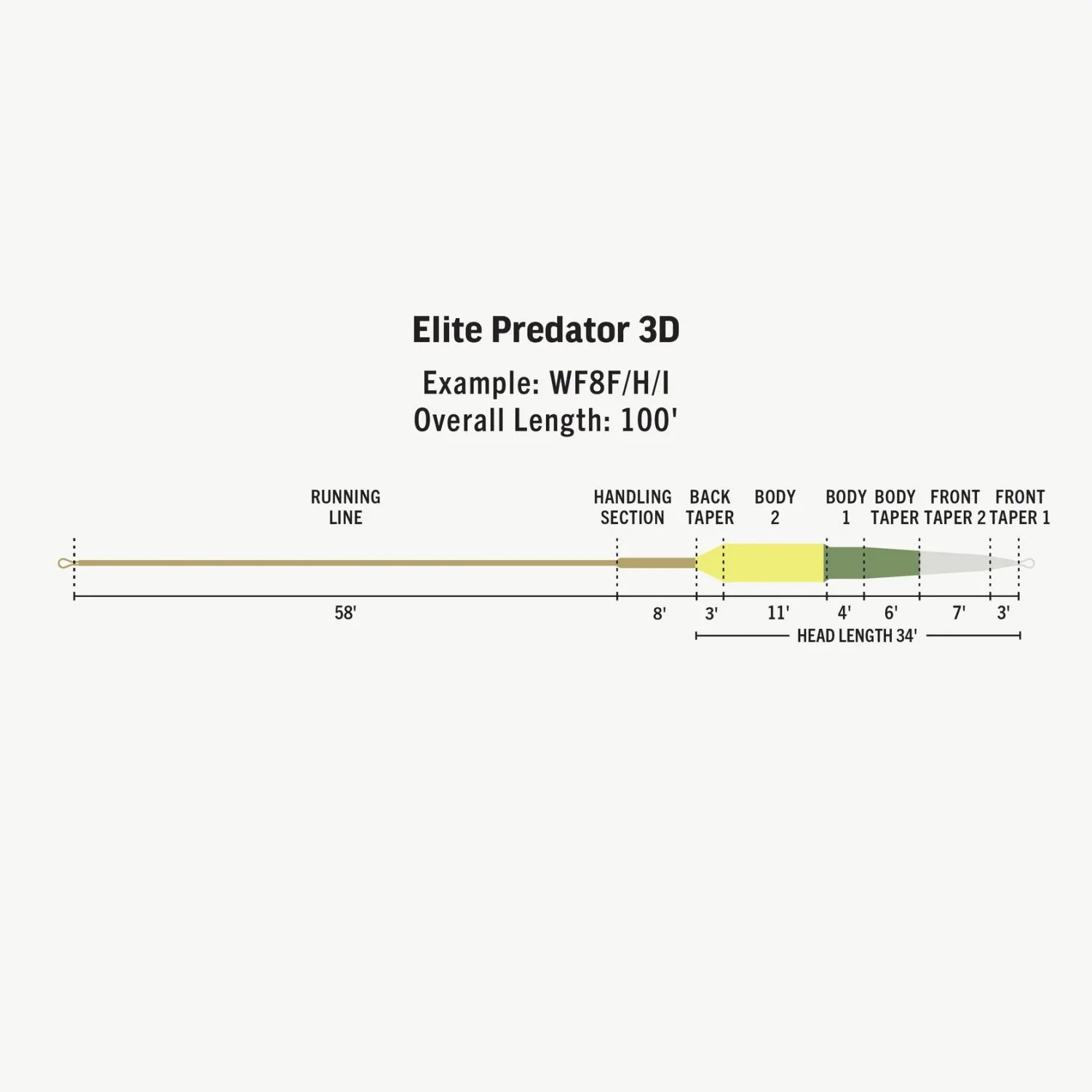 geordnete Zeitung?, Elite Predator 3D, Lauftmode?, Taper, Segmentierte Linie