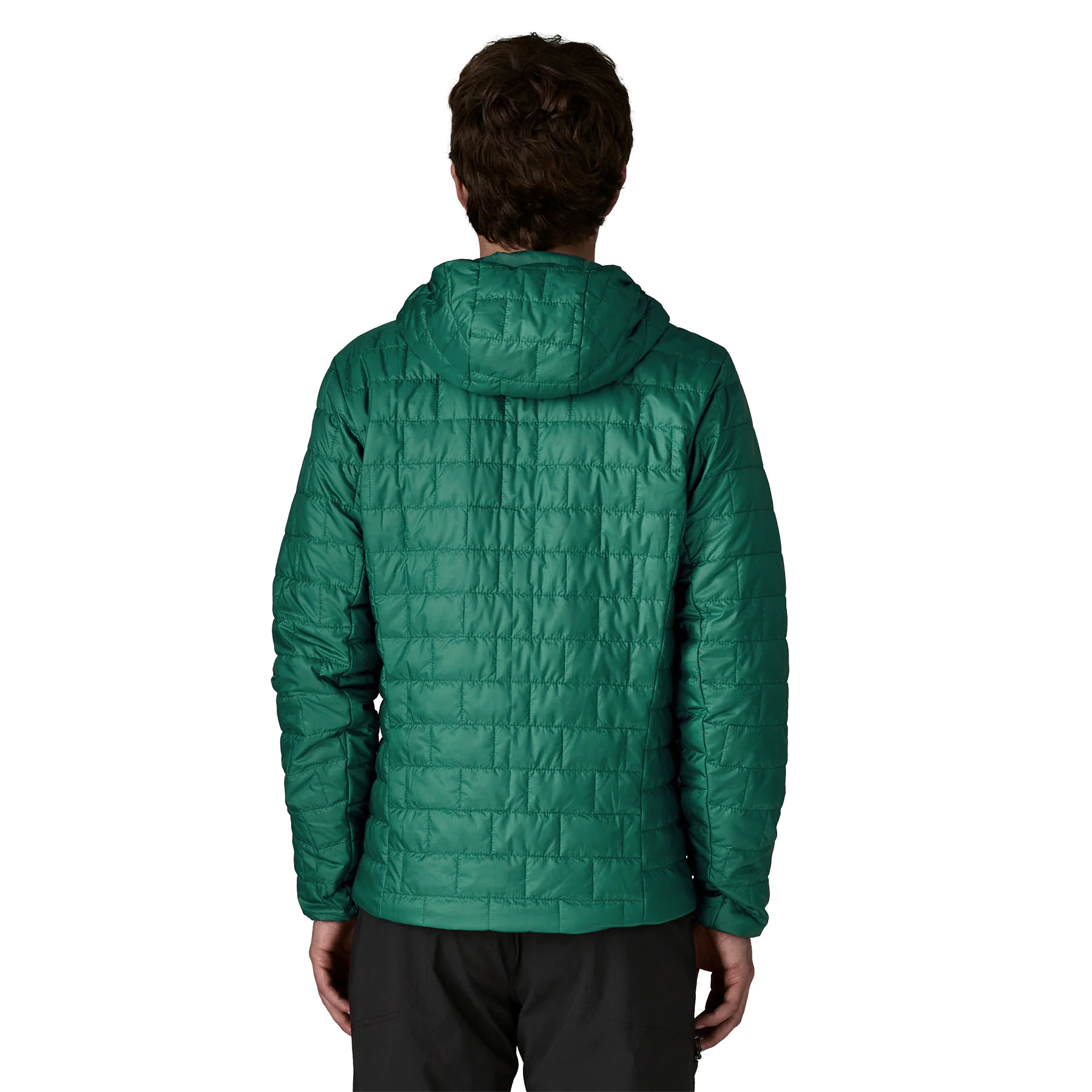 Nano Puff Hoody (Gem Green)