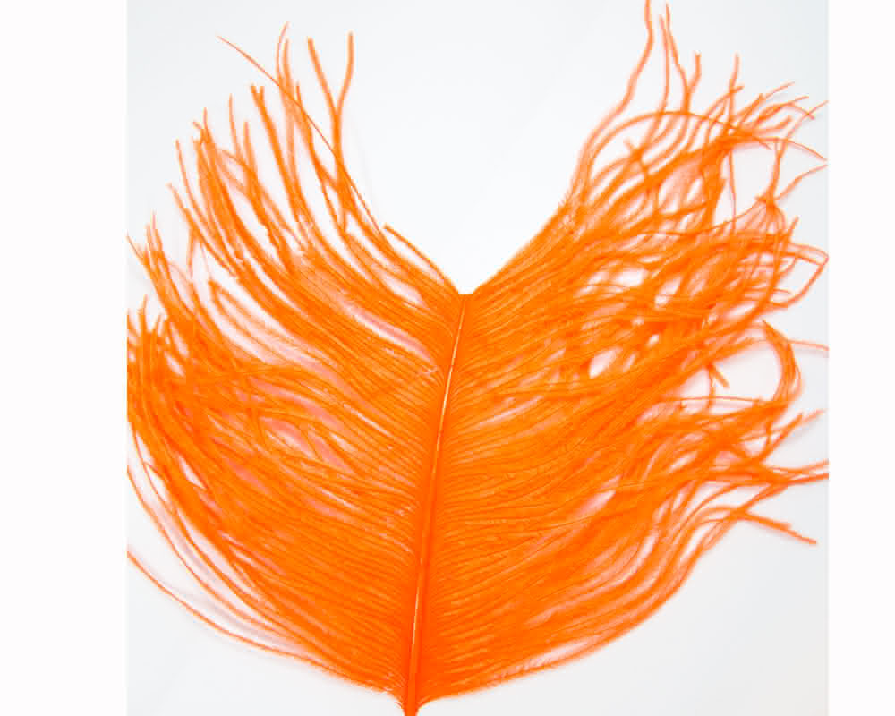 Ostrich Feathers