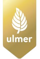 Ulmer