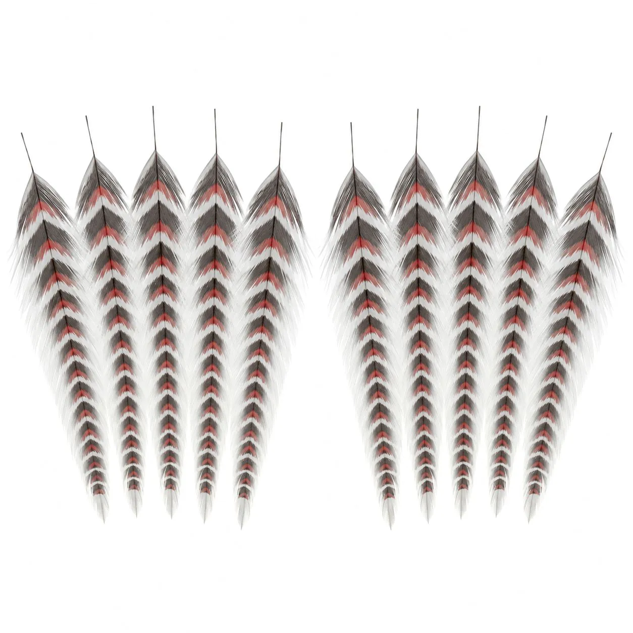 Federohrringe, Federdesign, Schwarz-weiß, Rote Akzente, Quastenohrringe
