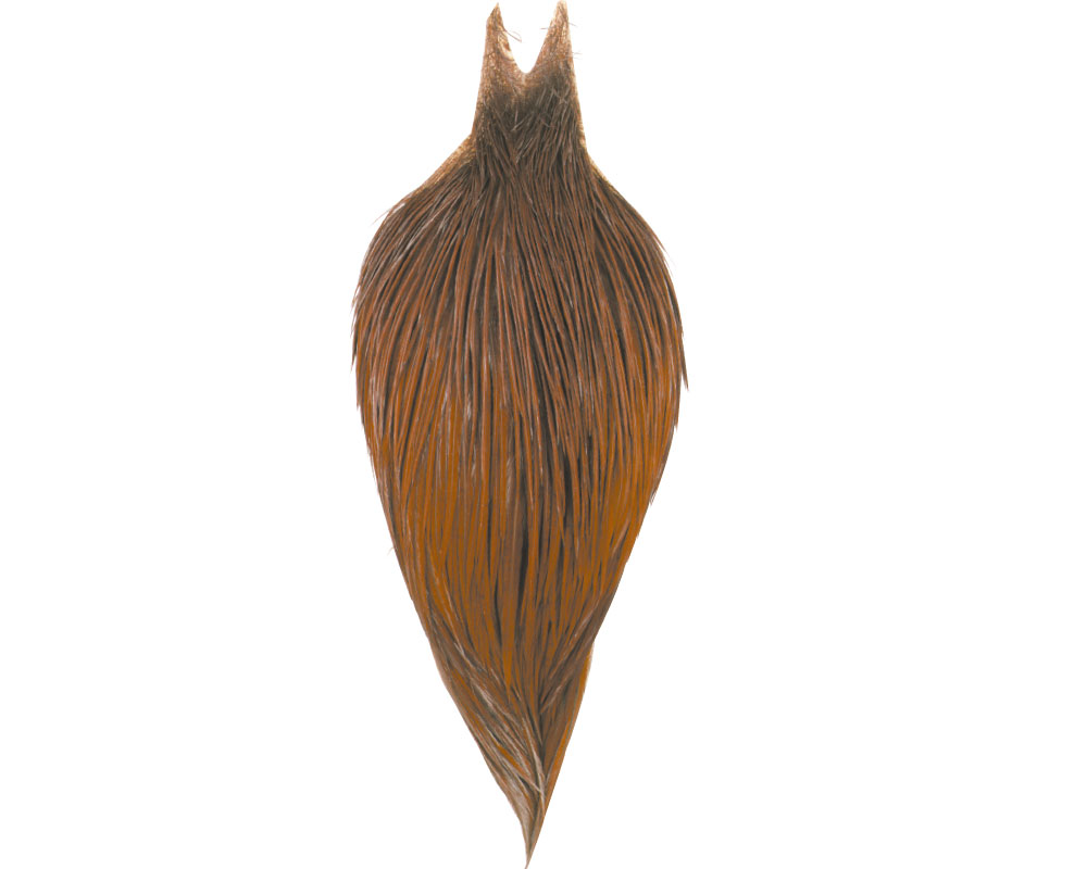 Balg (Qualität bronce) Balg (Qualität bronce)