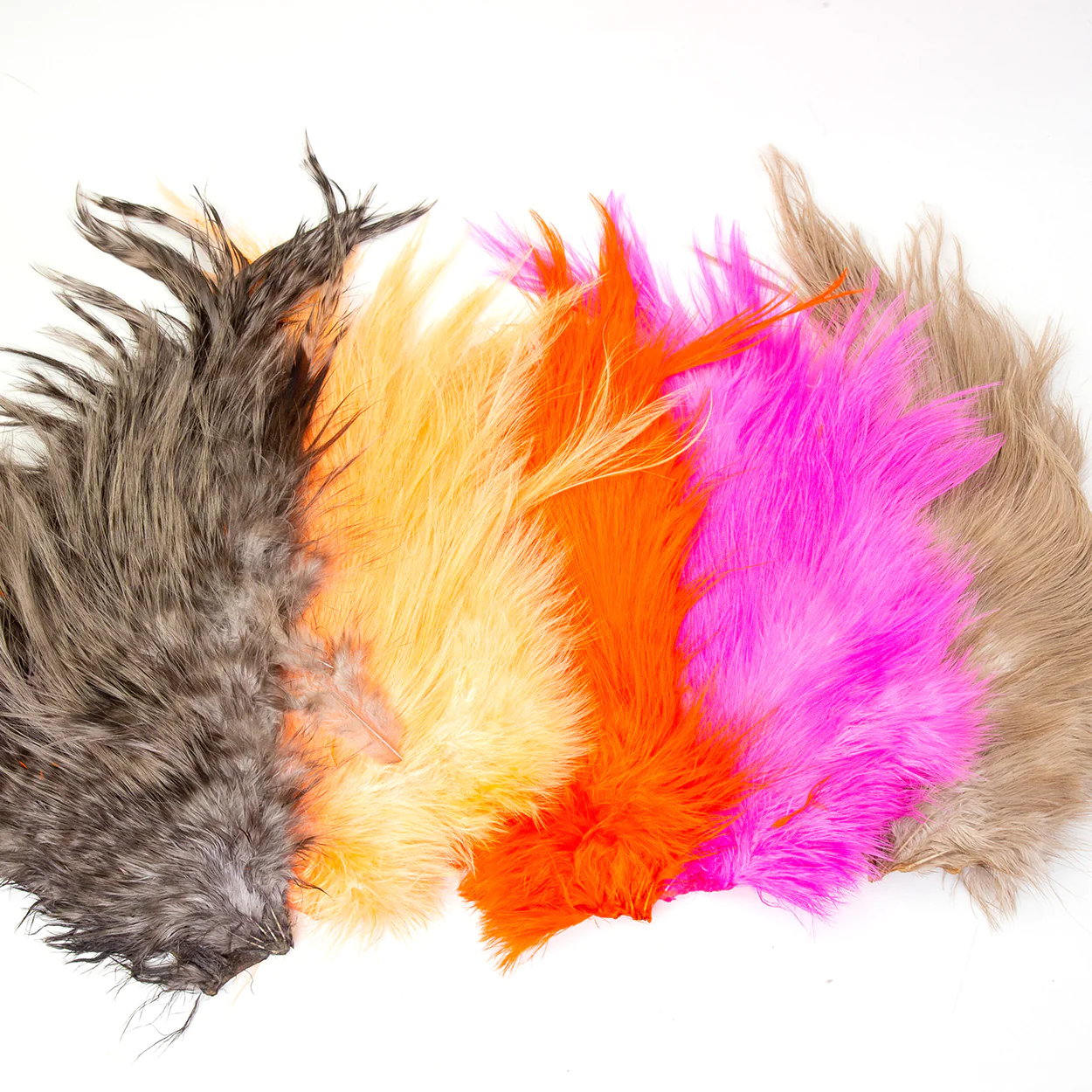 Bird Fur Bird Fur
