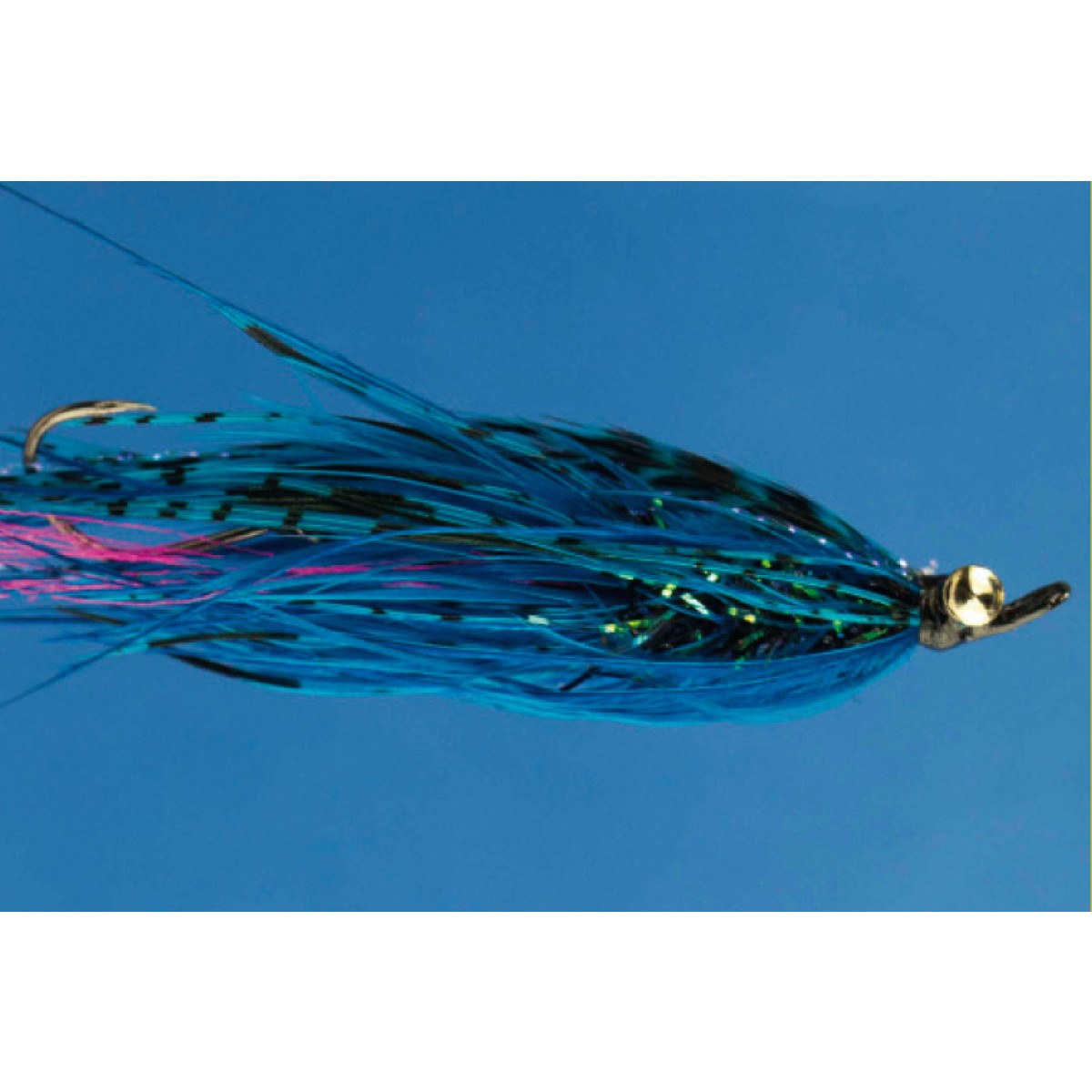 Waddington Shanks Waddington Shanks